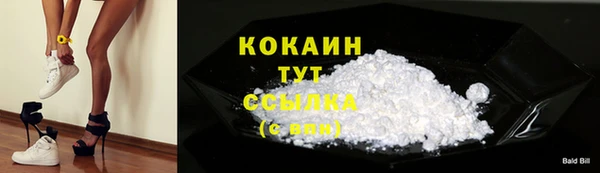 шишки Ахтубинск