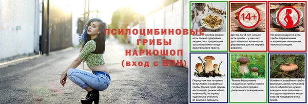 СК Мегион