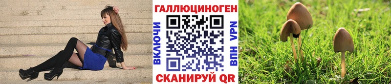 Галлюциногенные грибы Cubensis  как найти   Межгорье 